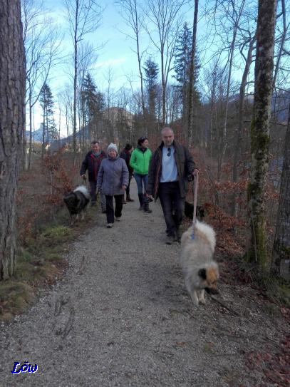 6.1.2018 - Eurasierspaziergang, Grünau